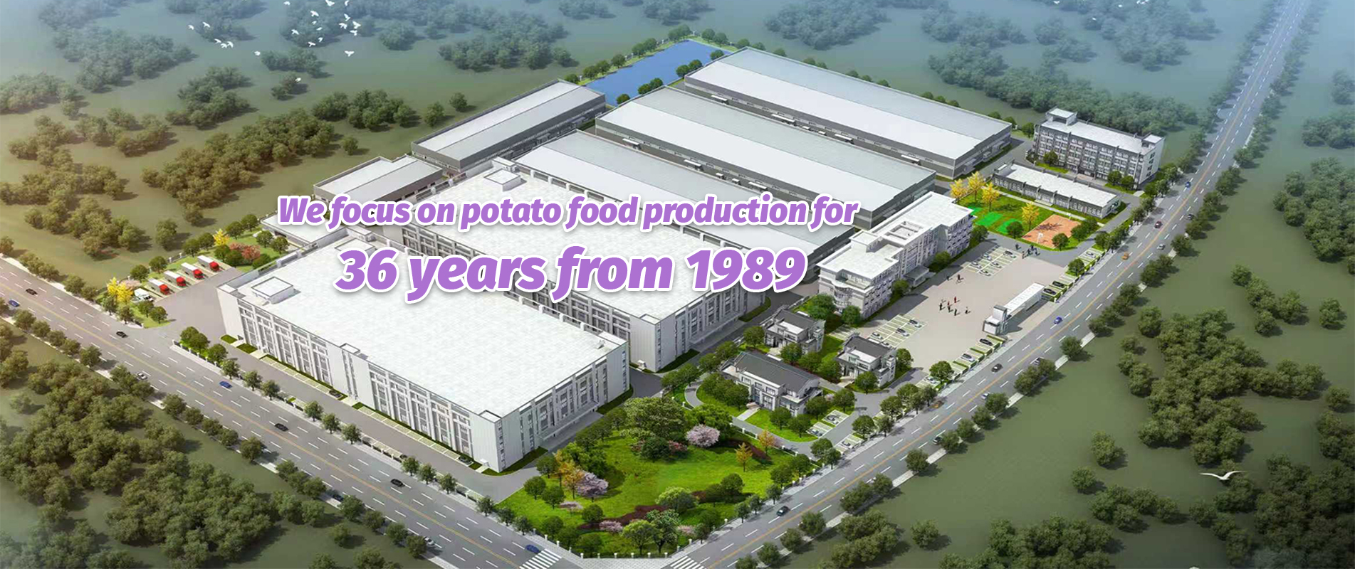 potato food manufacturer