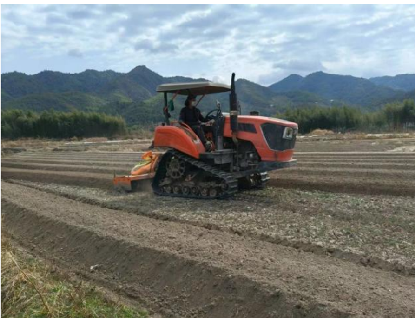 Spring Sowing Brings Hope, the Earth to Restore Vitality