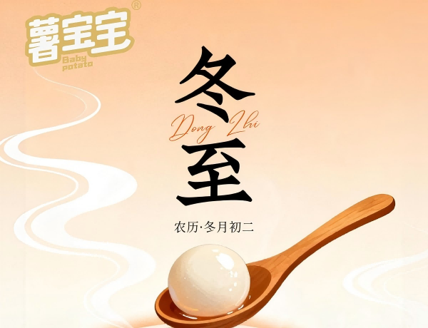 Chinese #24 solar terms - Winter Solstice